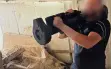 صاروخ في شفاعمرو!! هكذا تقول الشرطة في بيانها