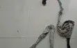 تل السبع: تخليص شخص ربطوه بالسلاسل داخل منزل