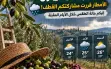 جهّزتم مفارش الزيتون؟ الأمطار قررت مشاركتكم...