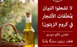 مع انطلاق موسم قطف الزيتون.. سلطة الإطفاء...