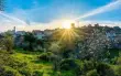 حالة الطقس: أجواء حارة حتى نهاية الأسبوع