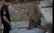  فيديو | اعتقال 11 عاملًا من الضفة الغربية أثناء...