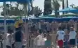 طوشة بالكراسي داخل مسبح في حولون.. اعتقال 12...