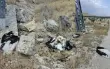 السبب صادم - نفوق نحو 30 طائر لقلق أبيض في غور...