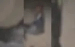 وين راحت الرحمة؟ مشهد مؤلم من النقب يوثّق...