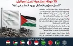 15 دولة إسلامية تدين إسرائيل: «تتحمل مسؤولية...