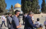 مصر تدين اقتحام مسؤول إسرائيلي ومستوطنين للمسجد الأقصى وتحذّر من التصعيد