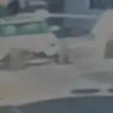 إحباط محاولة اقتحام حاجز أمني بسيارة مسروقة واعتقال مشتبه به بعد مطاردة راجلة