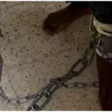 الفيديو صادم - لن تصدقوا ماذا حصل لشاب في رهط !!!!