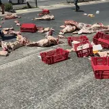كفركنا: أليس فيكم رجل رشيد!؟ دعوات لإنهاء هذا الملف اليوم.كفى