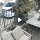 شاهدوا - اتهام شاب من يافة الناصرة بطعن شقيقين في مصلحة تجارية بالمنطقة الصناعية نوف هجليل