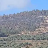 كفركنا: هل هذه حرائق عفوية؟ 7 حرائق في 4أيام