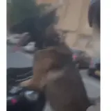 بسبب هذا الفيديو , إعتقال شاب من القدس 