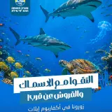 متوجهون إلى إيلات؟ لا تفوتوا التجربة التي يتحدث عنها الجميع هذا الصيف
