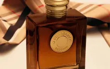 فانيليا بلمسة جديدة BURBERRY GODDESS AMBER VANILLA في ديوتي فري 