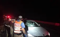 اصابة خطيرة بحادث دهس قرب بوريا على شارع 77
