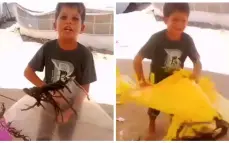 طفل غزي يمزق طائراته الورقية بدموعه: "عشان نتنياهو يرضى"