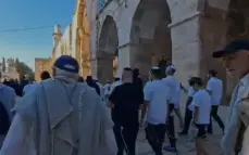 عشية "يوم الغفران": مستوطنون يقتحمون باحات المسجد الأقصى ويؤدون طقوساً تلمودية بحماية مشددة