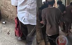 سابقة خطيرة- مستوطن يُدخل ماعزاً إلى الأقصى وينبطح أرضًا (فيديو)