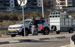 اعتقالات وسحب من الشوارع.. هل تنتهي ظاهرة التسول؟!