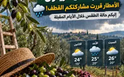 جهّزتم مفارش الزيتون؟ الأمطار قررت مشاركتكم القطف! 🫒🌧️ إليكم حالة الطقس