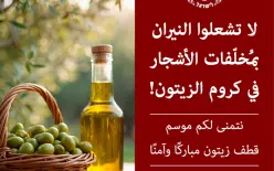 مع انطلاق موسم قطف الزيتون.. سلطة الإطفاء والإنقاذ تحذّر من إشعال النيران وغرامات بآلاف...