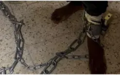 الفيديو صادم - لن تصدقوا ماذا حصل لشاب في رهط !!!!