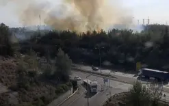 اندلاع حريق في غابة 