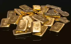 بالخطأ .. رمي 20 سبيكة من الذهب في مكب نفايات!