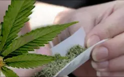 توصية لجنة بوزارة الصحة: ​​حظر استخدام القنب الطبي للتدخين