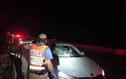 اصابة خطيرة بحادث دهس قرب بوريا على شارع 77
