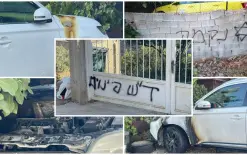صور - هذا ما فعله المستوطنون  في أم صفا شمال غرب رام الله