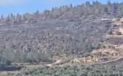 كفركنا: هل هذه حرائق عفوية؟ 7 حرائق في 4أيام