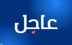 ألمانيا تدين تصريحات وزير الخارجية التركي ضد إسرائيل: 