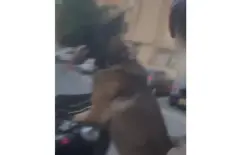 بسبب هذا الفيديو , إعتقال شاب من القدس 