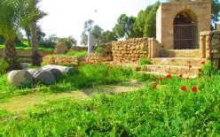 حالة الطقس - استمرار الأجواء الحارة والجافة 
