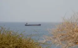 نصف السفن العابرة لمضيق هرمز في أغسطس اختارت المسار الذي تديره إيران