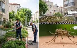 توجيهات حكومية للسلطات المحلية لتكثيف مكافحة الآفات وتطوير الخدمات