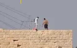 شاهدوا:  المستوطنون يلوثو  مياه بئر مياه فلسطيني.