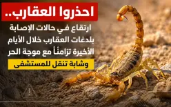احذروا.. ارتفاع في حالات الإصابة بلدغات العقارب خلال الأيام الأخيرة تزامنًا مع موجة...