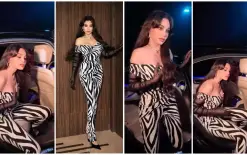 هيفاء وهبي بإطلالة 