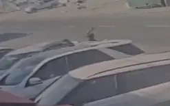 كاميرات المراقبة توثق لحظة تنفيذ عملية الطعن في العوجا والاستنفار العسكري مستمر