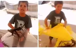 طفل غزي يمزق طائراته الورقية بدموعه: 