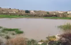 الأرصاد الجوية تحذّر: أمطار استثنائية وعواصف رعدية وخطر فيضانات مساء السبت