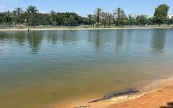 تل أبيب: تواصل البحث عن طفل دخل بحيرة في منتزه الجنوب