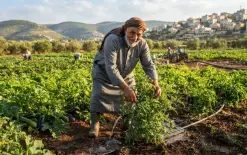 طوق نجاة لسهل طمرة: قرار سلطة المياه برفع الحصص 15% يحيي الأراضي الزراعية لعام 2026