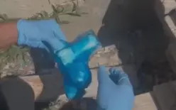 شاهدوا الفيديو.. ضبط بندقية 