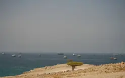 مسؤول إيراني يستبعد توقيع اتفاق بشأن مضيق هرمز في اجتماع عمان