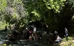 عاجل: إغلاق محمية 