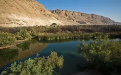 حالة الطقس: درجات الحرارة تواصل الارتفاع 